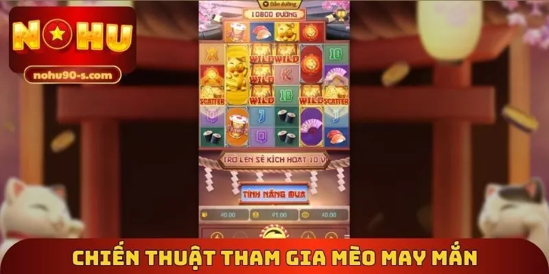Chiến thuật tham gia mèo may mắn